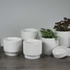 Mesa Planter Style with Saucer