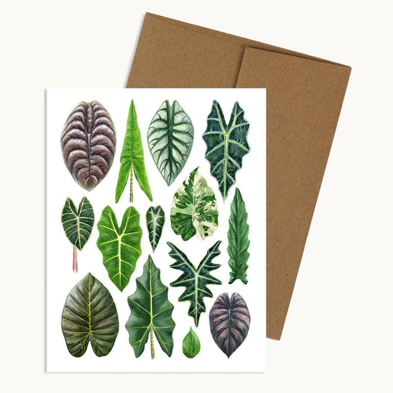 5 Varieties Greeting Cards - Watercolor Style.