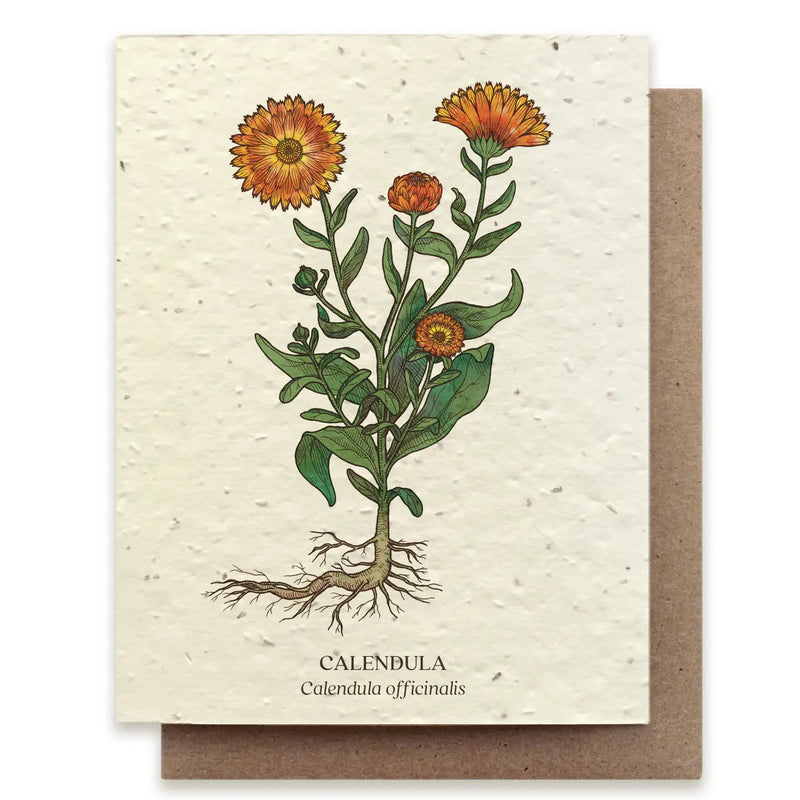 Plantable Wildflower Seed Card