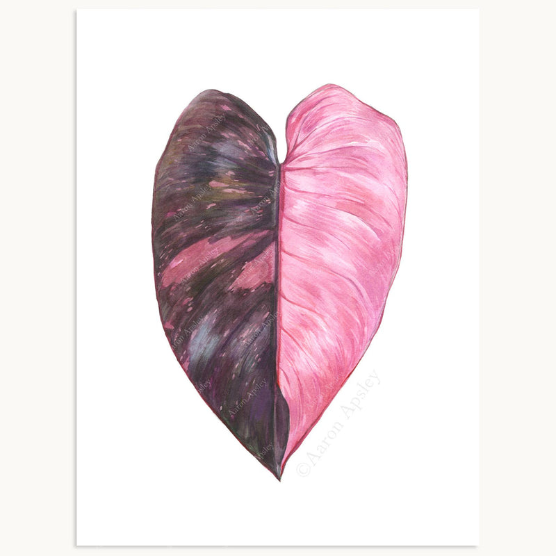 pink princess philodendron seattle Philodendron 'Pink Princess' Print – Forget Me Not- Plants&Decor
