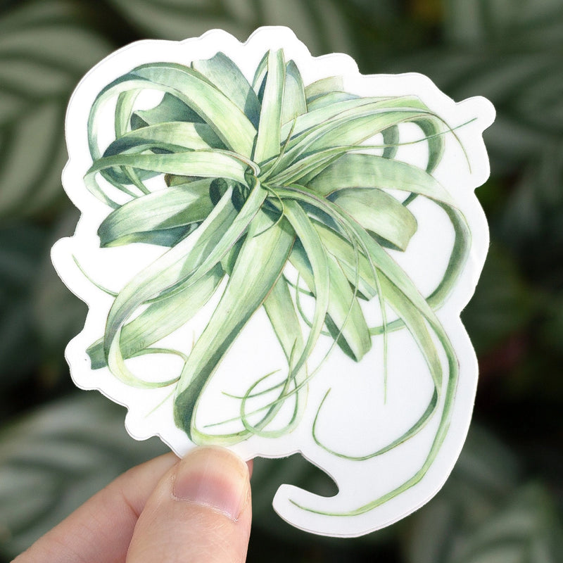 16 Varieties of Watercolor Style Stickers