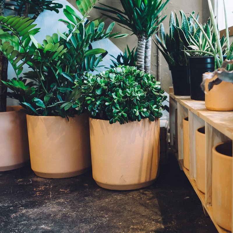 Terracota | Deep Cylinder and Oval