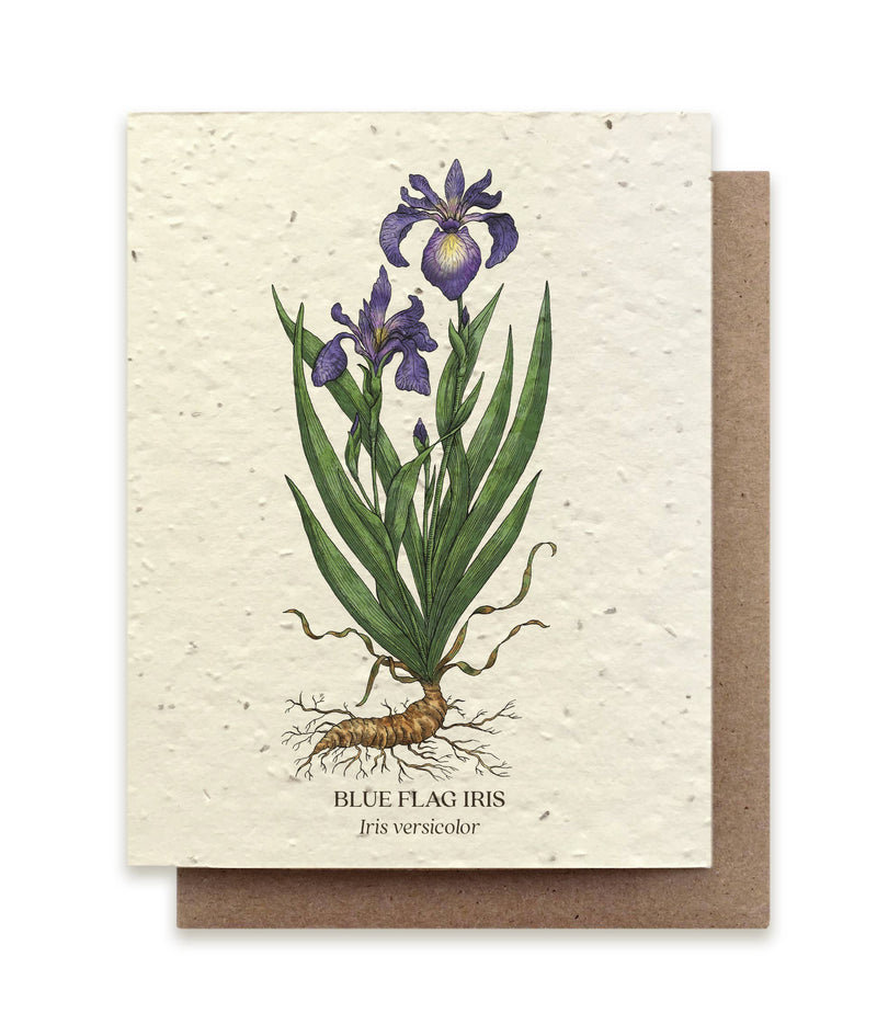 Plantable Wildflower Seed Card