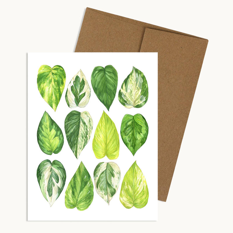 5 Varieties Greeting Cards - Watercolor Style.