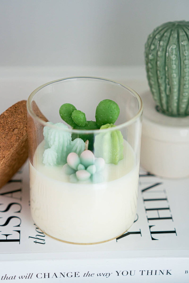 Terrarium Candle | Soy blend