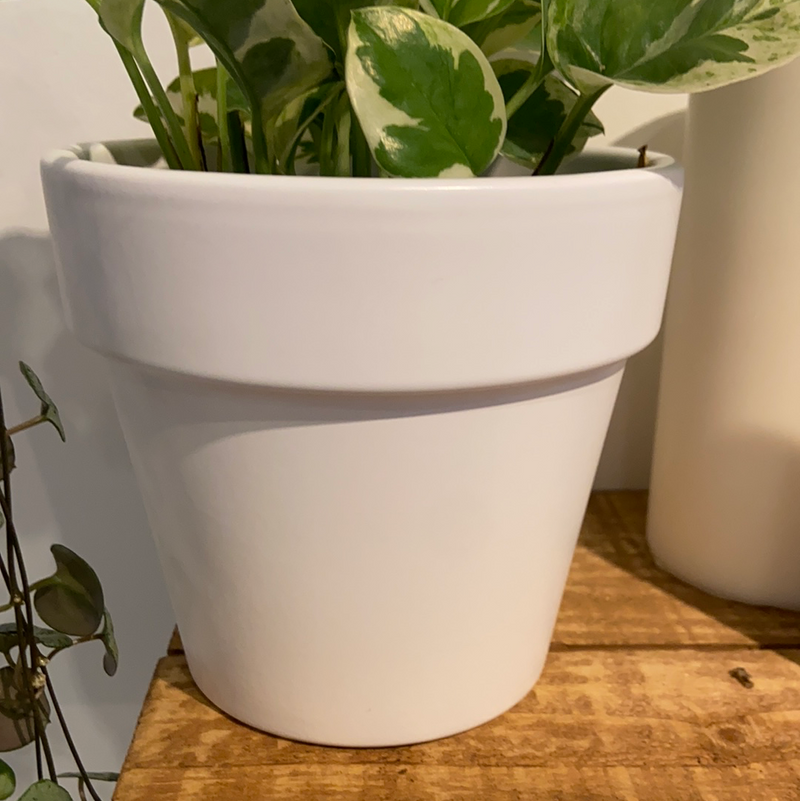 Classic Planter - White